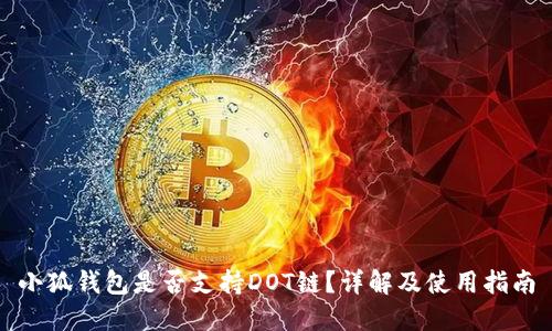 小狐錢包是否支持DOT鏈？詳解及使用指南