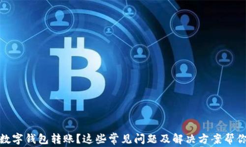 
沒(méi)有收到數(shù)字錢包轉(zhuǎn)賬？這些常見(jiàn)問(wèn)題及解決方案幫你找回資金