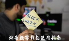 湖南數(shù)字錢包使用指南