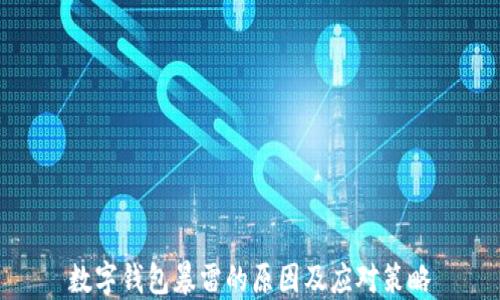 
數(shù)字錢包暴雷的原因及應(yīng)對策略