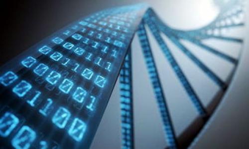 

metaMask最新安卓版：全方位指南與使用技巧

關(guān)鍵詞
MetaMask, 加密錢包, 區(qū)塊鏈/guanjianci

詳細(xì)介紹

在當(dāng)今數(shù)字化時代，去中心化金融的興起使得越來越多的用戶開始關(guān)注和使用加密貨幣，而MetaMask作為一個領(lǐng)先的數(shù)字錢包和去中心化應(yīng)用（DApp）平臺，成為了用戶與區(qū)塊鏈?zhǔn)澜绲臉蛄?。最新的MetaMask安卓版更是增加了多種新特性，提升了用戶體驗，本文將詳細(xì)介紹MetaMask的使用方法、功能特點，以及常見問題的解答。

MetaMask安卓版的功能特點

MetaMask不僅提供了一種安全的方式來存儲和管理加密貨幣，還允許用戶直接與區(qū)塊鏈進(jìn)行交互。在最新的安卓版中，引入了更多創(chuàng)新功能，如：易用的用戶界面、更加多樣化的資產(chǎn)管理、增強的安全性以及更快的交易確認(rèn)等。

1. strong用戶友好的界面/strong
新版MetaMask提供了一個更直觀的用戶界面，簡化了錢包的操作步驟，使得新手用戶也能輕松上手。用戶可以快速查看自己的資產(chǎn)、交易記錄以及DApp訪問歷史。

2. strong多種資產(chǎn)支持/strong
MetaMask支持以太坊和ERC-20代幣的管理，用戶可以在單一的應(yīng)用程序中管理多種數(shù)字資產(chǎn)，方便性大大增強。

3. strong安全性提升/strong
最新版本增加了額外的安全防護(hù)措施，用戶可以通過面部識別或指紋識別等生物驗證技術(shù)來保護(hù)他們的錢包，進(jìn)一步保障資產(chǎn)安全。

4. strong高效交易處理/strong
MetaMask最新版了交易處理流程，用戶可以更快地完成交易，提高了在DApp中交互的流暢性。

使用MetaMask的步驟

使用MetaMask的第一步是下載并安裝應(yīng)用程序。在Android設(shè)備上，可以從Google Play商店下載安裝。安裝完成后，用戶需要創(chuàng)建一個新的錢包或恢復(fù)已有錢包。

1. strong創(chuàng)建錢包/strong
打開MetaMask應(yīng)用，點擊“創(chuàng)建錢包”，然后設(shè)置一個復(fù)雜且安全的密碼。隨后，用戶會獲得一個助記詞，務(wù)必將其妥善保存，助記詞是恢復(fù)錢包的唯一憑證。

2. strong添加資產(chǎn)/strong
可以通過‘添加資產(chǎn)’功能，將自己持有的ERC-20代幣添加到錢包中。用戶只需輸入代幣的合約地址、符號及小數(shù)位數(shù)，系統(tǒng)就會自動識別并添加。

3. strong進(jìn)行交易/strong
通過MetaMask，用戶可以輕松進(jìn)行轉(zhuǎn)賬和接收加密貨幣。在主頁選擇“發(fā)送”或“接收”，按提示操作即可完成交易。

常見問題分析

1. 如何保證MetaMask錢包的安全性？

MetaMask的安全性是用戶最為關(guān)注的話題，尤其是在頻繁的網(wǎng)絡(luò)攻擊和騙局發(fā)生的背景下。為了最大限度地保護(hù)錢包，用戶應(yīng)采取以下幾條措施：

1. strong妥善保管助記詞和私鑰/strong
助記詞是恢復(fù)錢包的重要憑證，切勿隨意分享或存儲于網(wǎng)絡(luò)上。私鑰也同樣重要，其泄露將導(dǎo)致資產(chǎn)失竊。

2. strong啟用雙重認(rèn)證/strong
盡可能開啟雙重認(rèn)證（2FA），這為登錄添加了一道額外的安全防線。

3. strong定期更新應(yīng)用/strong
保持MetaMask應(yīng)用的最新版本，以確保擁有最新的安全防護(hù)和功能。

4. strong小心釣魚攻擊/strong
很多騙子使用釣魚網(wǎng)站或假應(yīng)用程序獲取用戶資料，務(wù)必確保訪問官方網(wǎng)站或官方應(yīng)用商店下載應(yīng)用，避免點擊不明鏈接。

2. 如何處理MetaMask中的交易失敗問題？

在使用MetaMask時，用戶偶爾可能會遇到交易失敗的情況，這可能由于網(wǎng)絡(luò)擁堵、氣體費用設(shè)置不當(dāng)或合約問題引起。處理此類問題的步驟如下：

1. strong檢查網(wǎng)絡(luò)狀態(tài)/strong
確保Ethereum網(wǎng)絡(luò)正常運行，可以通過一些區(qū)塊鏈瀏覽器（如Etherscan）查看網(wǎng)絡(luò)狀態(tài)。

2. strong調(diào)整氣體費用/strong
交易失敗常由于氣體費用過低，用戶可以適當(dāng)提高氣體價格，以確保交易被礦工快速處理。

3. strong耐心等待/strong
有時候只是網(wǎng)絡(luò)擁堵，稍等片刻后再次提交交易或許能解決問題。

4. strong查看交易記錄/strong
通過查看歷史交易記錄，用戶可以了解交易失敗的具體原因，如是否因余額不足、目標(biāo)地址無效等問題導(dǎo)致的。

3. MetaMask與其他加密錢包的對比

在選擇加密錢包時，用戶需要了解不同錢包的優(yōu)缺點。以MetaMask與其他流行錢包（如Trust Wallet和Coinbase Wallet）為例，進(jìn)行比較：

1. strong用戶友好性：/strong
MetaMask以其簡潔易用的界面而著稱，適合新手用戶，而Trust Wallet同樣友好，但在界面上稍顯復(fù)雜。Coinbase Wallet則依托于Coinbase生態(tài)，用戶可以享受更多的功能，但界面復(fù)雜度稍高。

2. strong功能強大：/strong
MetaMask支持訪問各種DApp和DeFi服務(wù)，用戶可進(jìn)行交易、質(zhì)押和借貸等操作。Trust Wallet同樣支持多種資產(chǎn)和DApp，而Coinbase Wallet則受制于其平臺的限制，功能相對單一。

3. strong安全性：/strong
MetaMask的私鑰和助記詞保存在用戶本地，安全性較高。但用戶需自覺防范釣魚攻擊。Trust Wallet則提供了非托管錢包的選項，安全性更上層樓。Coinbase Wallet因依賴于中心化平臺，安全性則相對較低。

4. 常見的MetaMask使用技巧

為了更好地利用MetaMask，用戶可以掌握一些實用技巧如下：

1. strong使用硬件錢包結(jié)合MetaMask/strong
可以將MetaMask與硬件錢包（如Ledger或Trezor）結(jié)合使用，進(jìn)一步加強安全性。用戶在進(jìn)行重大交易或持有大額資產(chǎn)時建議如此操作。

2. strong定期備份錢包/strong
定期更新助記詞并進(jìn)行備份，以避免數(shù)據(jù)丟失的風(fēng)險。

3. strong多賬戶管理/strong
MetaMask支持多賬戶管理，用戶可以根據(jù)需求創(chuàng)建多個錢包，便于資產(chǎn)的分類管理。

4. strong參與社區(qū)和學(xué)習(xí)/strong
加入MetaMask相關(guān)的社區(qū)或論壇，獲取最新動態(tài)和使用技巧，與其他用戶交流經(jīng)驗，幫助自己更好地掌握MetaMask。

總之，MetaMask是一個功能強大且安全的數(shù)字錢包，用戶只需掌握基本的使用技巧和安全措施，即可順暢地在區(qū)塊鏈?zhǔn)澜缬稳杏杏?。以上?nèi)容希望能幫助到每一位使用MetaMask的用戶，提升他們在加密貨幣與區(qū)塊鏈技術(shù)領(lǐng)域的認(rèn)知和操作能力。