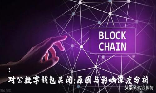 :
對公數(shù)字錢包關(guān)閉：原因與影響深度分析