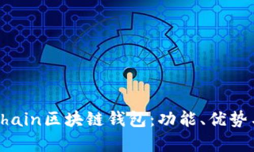 全面解析Chain區(qū)塊鏈錢包：功能、優(yōu)勢與應(yīng)用場景