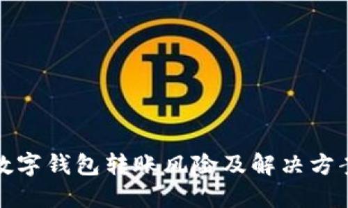 數(shù)字錢包轉(zhuǎn)賬風(fēng)險及解決方案