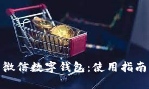 : 深度解析微信數(shù)字錢(qián)包：使用指南與發(fā)展趨勢(shì)