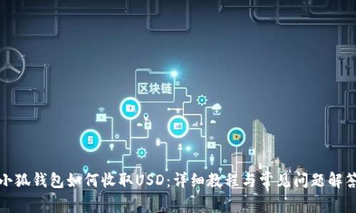 小狐錢包如何收取USD：詳細(xì)教程與常見(jiàn)問(wèn)題解答
