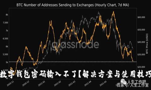 數(shù)字錢包密碼輸入不了？解決方案與使用技巧