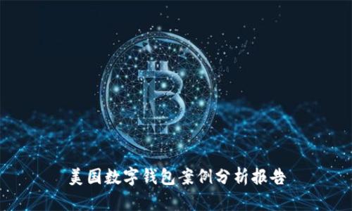 美國數(shù)字錢包案例分析報(bào)告
