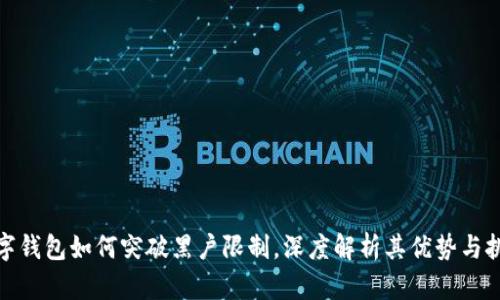 數字錢包如何突破黑戶限制，深度解析其優(yōu)勢與挑戰(zhàn)