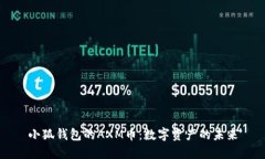小狐錢(qián)包的AXM幣：數(shù)字資