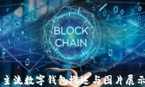 
主流數(shù)字錢(qián)包概述與圖片展示