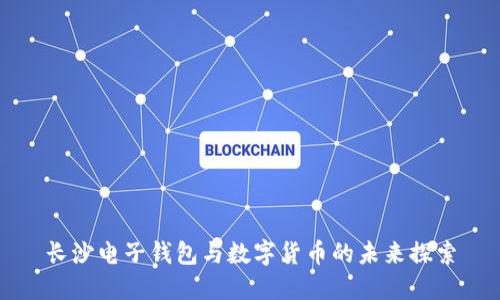 長沙電子錢包與數(shù)字貨幣的未來探索
