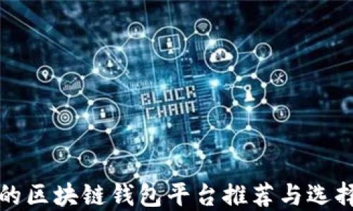 
好用的區(qū)塊鏈錢包平臺推薦與選擇指南