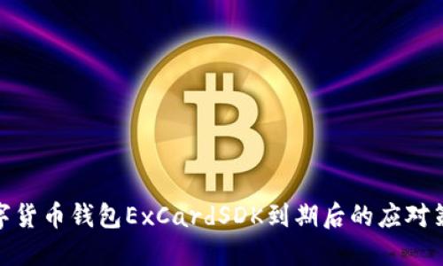 數(shù)字貨幣錢包ExCardSDK到期后的應對策略