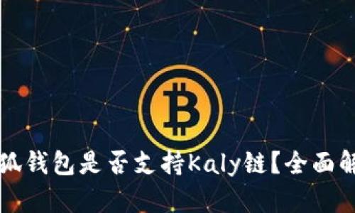 小狐錢包是否支持Kaly鏈？全面解析