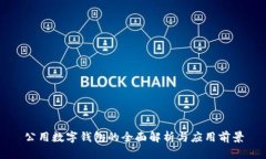 公用數(shù)字錢包的全面解析