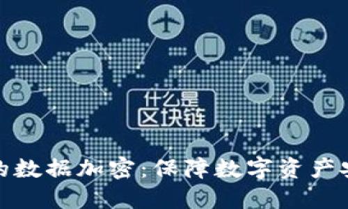 電子錢包的數(shù)據(jù)加密：保障數(shù)字資產(chǎn)安全的關(guān)鍵