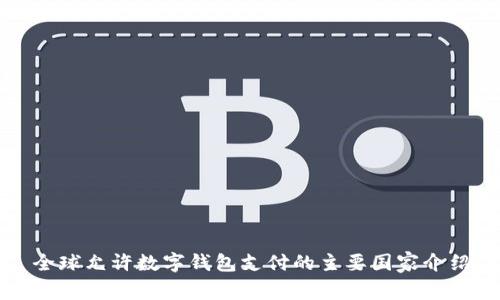 全球允許數(shù)字錢包支付的主要國家介紹