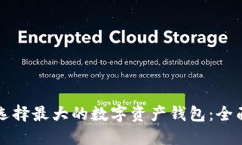 如何選擇最大的數(shù)字資產(chǎn)錢包：全面指南