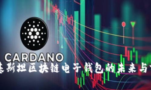 巴基斯坦區(qū)塊鏈電子錢包的未來與前景