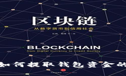 小狐錢包如何提取錢包資金的詳細步驟