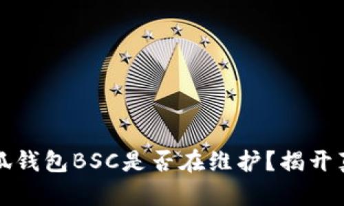 小狐錢(qián)包BSC是否在維護(hù)？揭開(kāi)真相