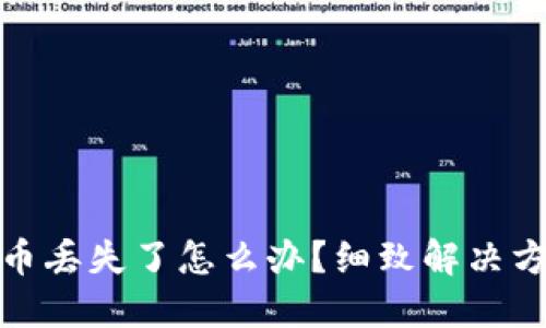 小狐錢包幣丟失了怎么辦？細致解決方案大揭秘