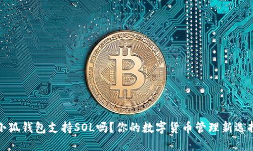 小狐錢包支持SOL嗎？你的數(shù)字貨幣管理新選擇