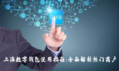 上海數(shù)字錢(qián)包使用指南：全面解析熱門(mén)商戶(hù)