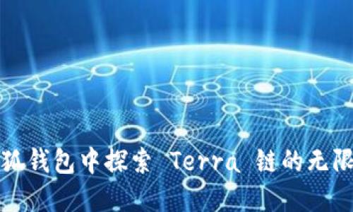 在小狐錢包中探索 Terra 鏈的無限可能