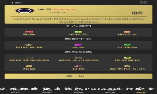 如何使用數字貨幣錢包Pulas進行安全交易？