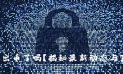 小狐錢(qián)包出幣了嗎？揭秘