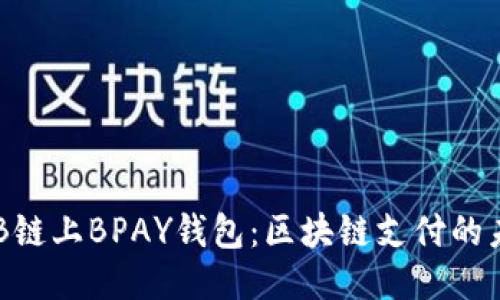 探知BNB鏈上BPAY錢包：區(qū)塊鏈支付的未來(lái)之路