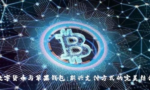 數(shù)字貨幣與蘋果錢包：新興支付方式的完美結(jié)合