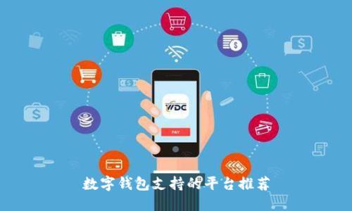 數(shù)字錢包支持的平臺推薦