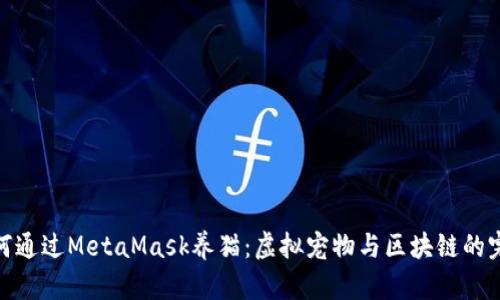 教你如何通過MetaMask養(yǎng)貓：虛擬寵物與區(qū)塊鏈的完美結(jié)合