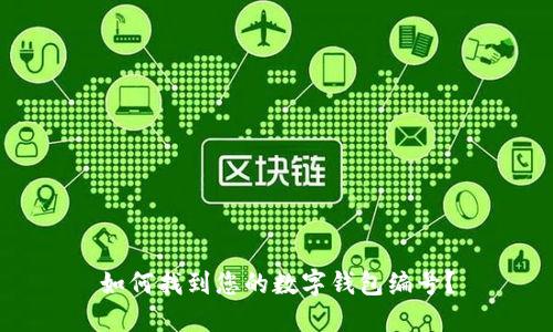 如何找到您的數(shù)字錢包編號(hào)？