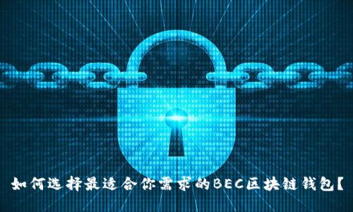 如何選擇最適合你需求的BEC區(qū)塊鏈錢包？