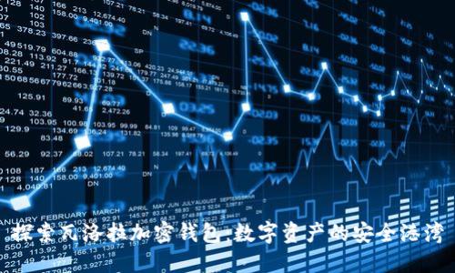 探索瓦洛拉加密錢包：數字資產的安全港灣