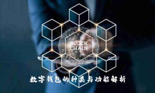 數(shù)字錢包的種類與功能解析