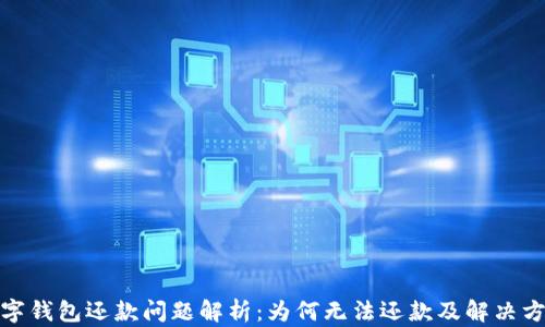 
數(shù)字錢包還款問題解析：為何無法還款及解決方案