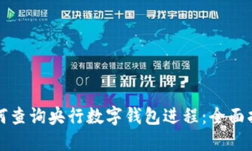 如何查詢央行數(shù)字錢包進程：全面指南